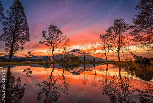 Mt. Fuji with big trees and lake at sunrise in Fujinomiya  Japan.