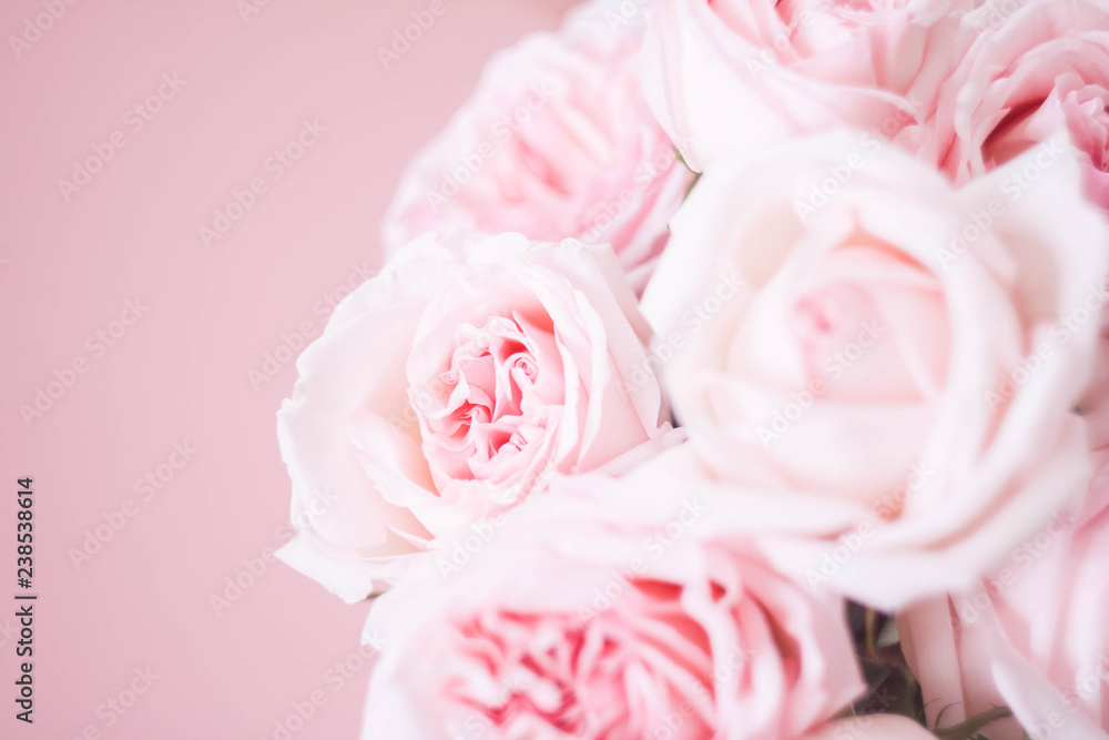 Naklejka premium bouqet delicate pink roses on pink background