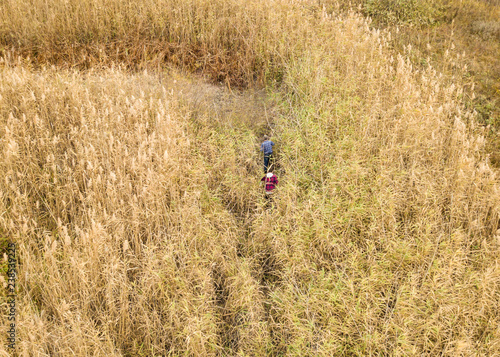 top aerial view of two people walk in the high grass field outdoor f © Mihail