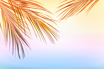Flatlay summer background