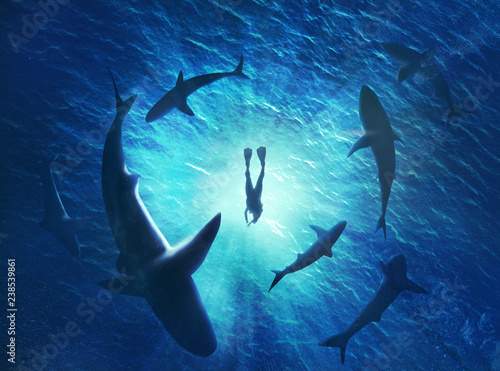 Illustration of sharks forming a circle under a man in water