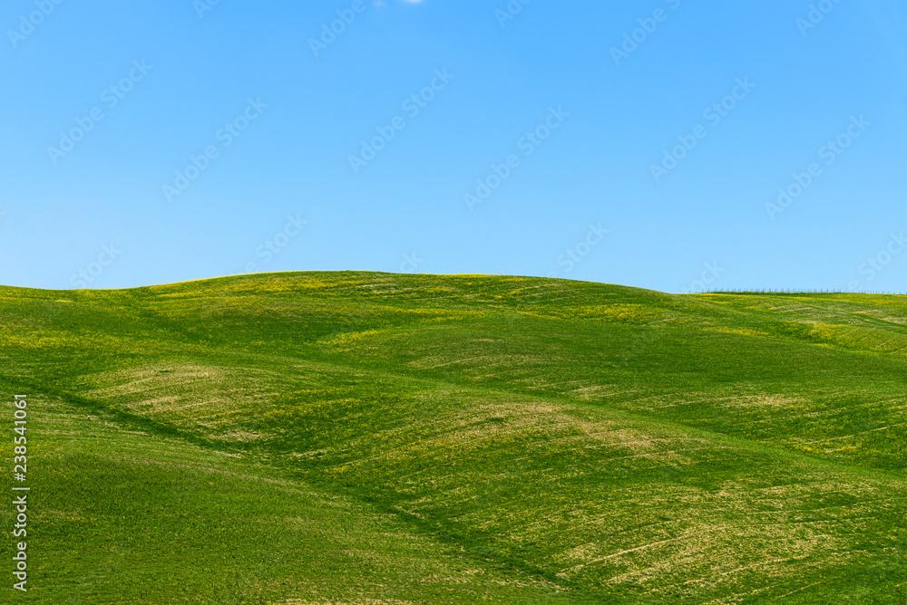 Beautiful rural landscape, cypress trees, green field and blue sky in Tuscany near Pienza. Spring in Tuscany, Italy. Beautiful rural landscape, cypress trees, green field and blue sky in Tuscany near Pienza. Spring in Tuscany, Italy.