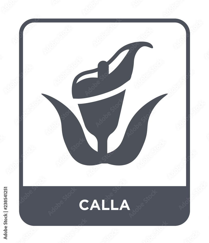 calla icon vector calla icon vector