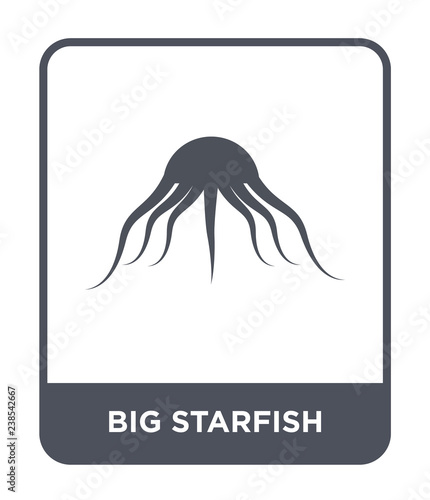 big starfish icon vector