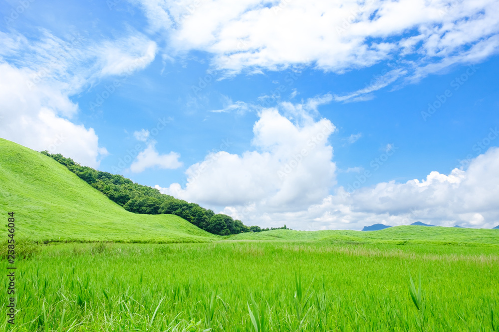 夏の曽爾高原 夏の曽爾高原