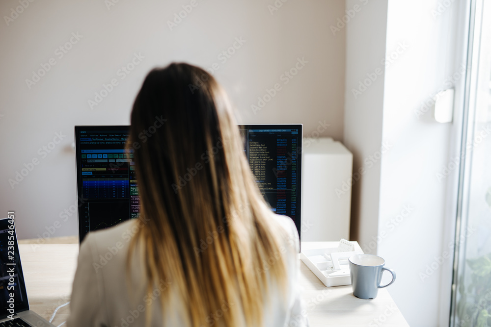 Businesswoman Working on a Desktop Computer Businesswoman Working on a Desktop Computer