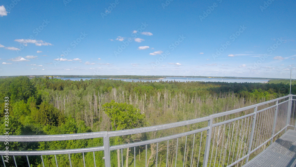 widok na jezioro i las z wieży widokowej