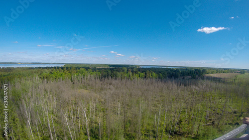 widok na jezioro i las z wieży widokowej
