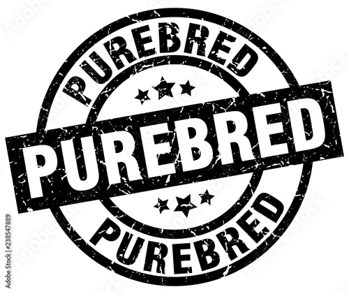 purebred round grunge black stamp