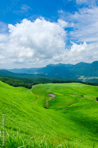 夏の曽爾高原