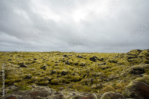 Iceless landscape with moss, lava, stone and lichen. photo