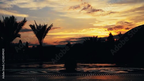 Beautiful silhouette of a young woman follows from the pool poses summer sunset body freedom exotic sunlight coast plant resort carefree palm sea travel tropical vacation happy sky photo