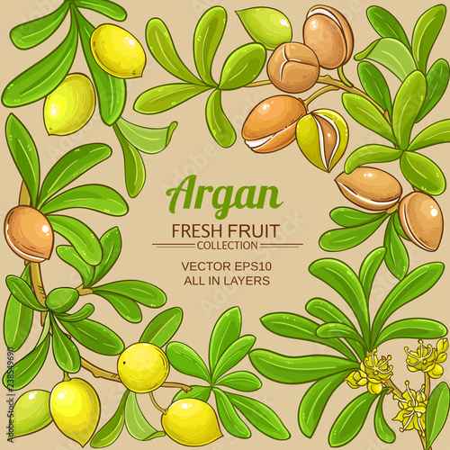 argan vector frame