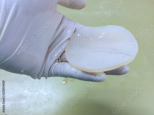 Bacterial cellulose produced by acetic acid bacteria from coconut water
