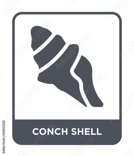 conch shell icon vector