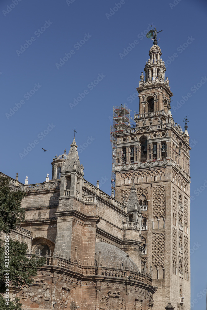 Cathedral of Seville 