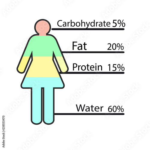 infographics composition of the female body