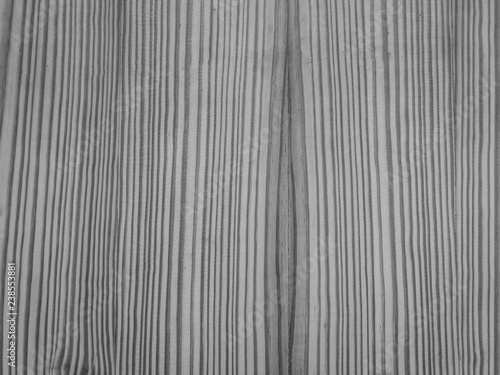 Texture of wood background closeup -black and white image