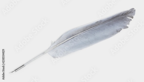 Realistic 3D Render of Quill