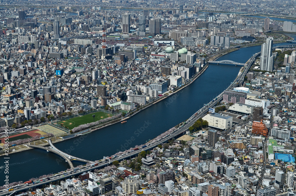 Naklejka premium Tokyo Skytree, Japon