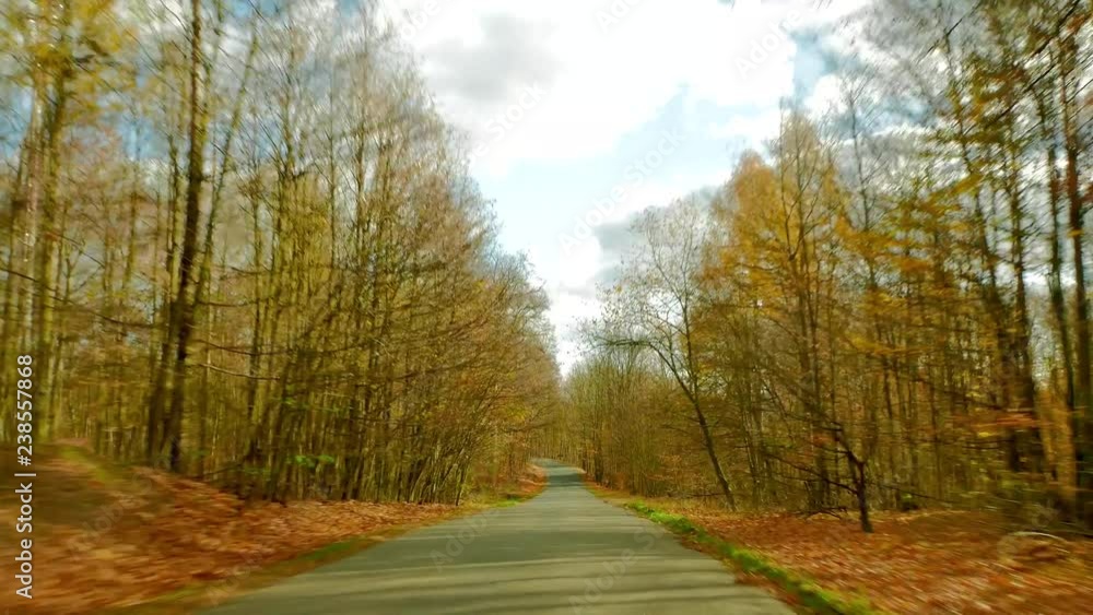 Driving car in beautiful autumn woods with colorful foliage tree in rural area. Driving car in beautiful autumn woods with colorful foliage tree in rural area.