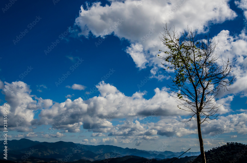 vista panorâmica de vale montanhoso na cidade de Campos do Jordão em São Paulo, em espetacular céu azul em dia claro de sol, sem pessoas, alta resolução em cores vista panorâmica de vale montanhoso na cidade de Campos do Jordão em São Paulo, em espetacular céu azul em dia claro de sol, sem pessoas, alta resolução em cores