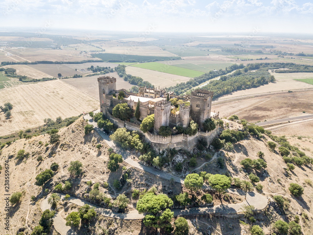 Aerial view of Castle of Almodovar del Rio, Andalusia, Spain