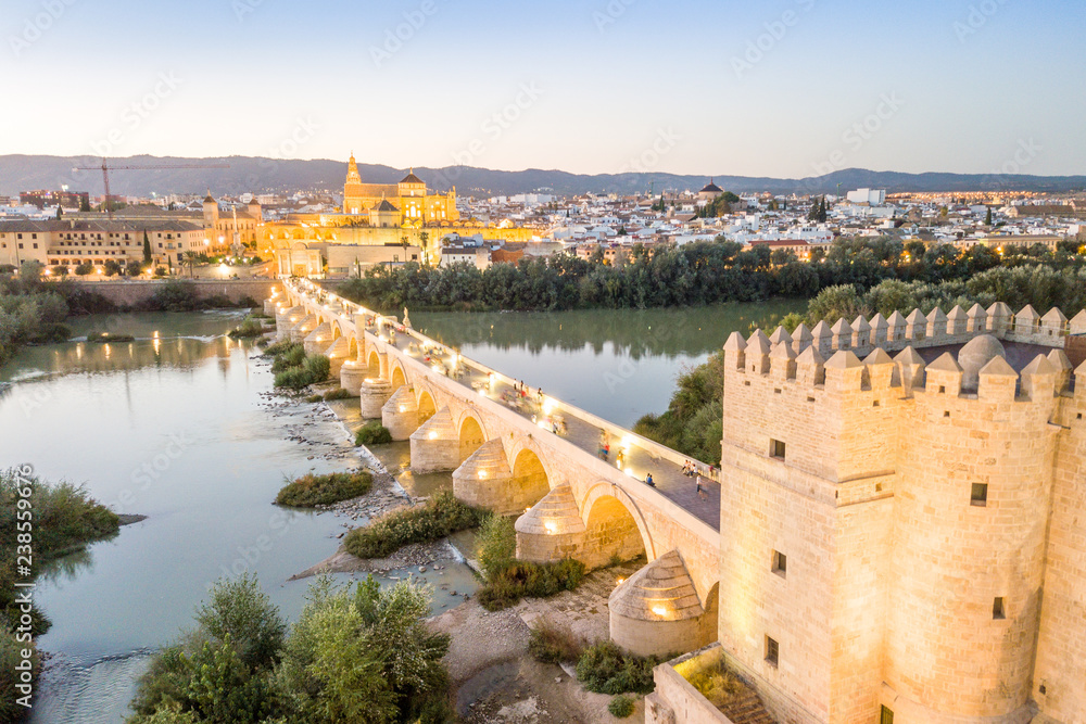 Aerial view of Roman bridge and Mosque - Cathedral of Cordoba, Andalusia, Spain