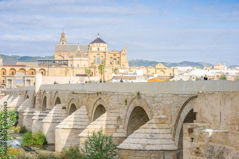 Roman bridge and cathedral - mosque by the river in Cordoba, Andalusia, Spain