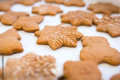 Freshly baked gingerbread cookies for Christmas