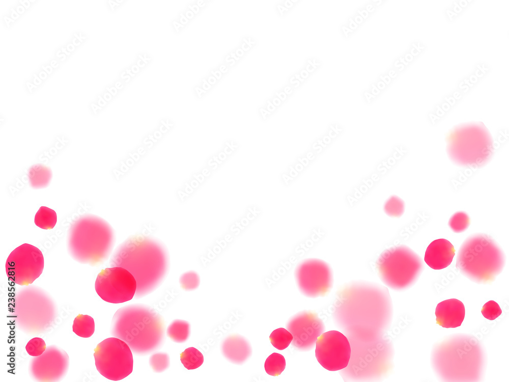 Pink rose petals falling valentine background. Pink rose petals falling valentine background.