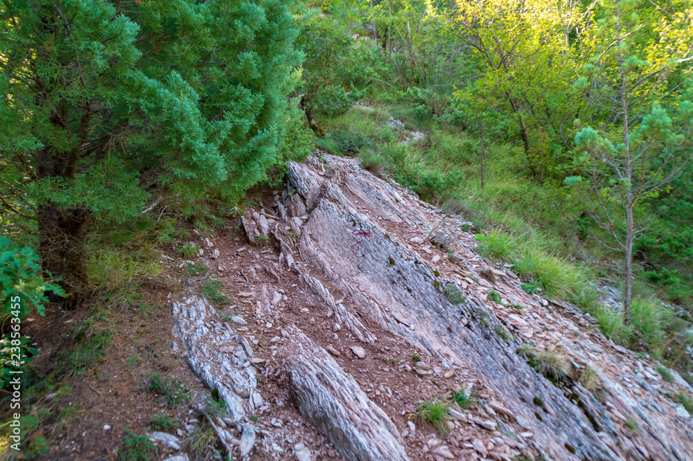 Naklejka premium Rocce lungo il sentiero 201 dalla val d'abisso al rifugio Corsini