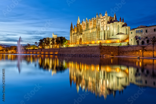 The Cathedral La Seu at Night in Palma de Mallorca