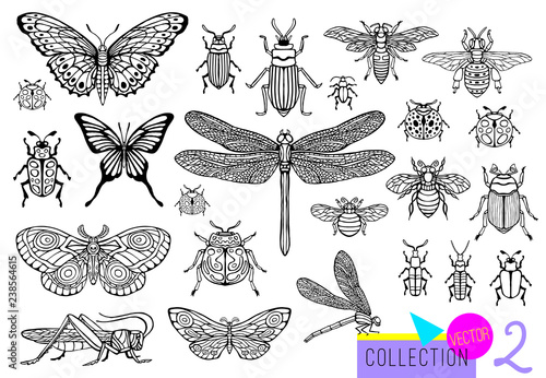 Big hand drawn line set of insects bugs, beetles, honey bees, butterfly moth, bumblebee, wasp, dragonfly, grasshopper. Silhouette vintage sketch style engraved illustration.