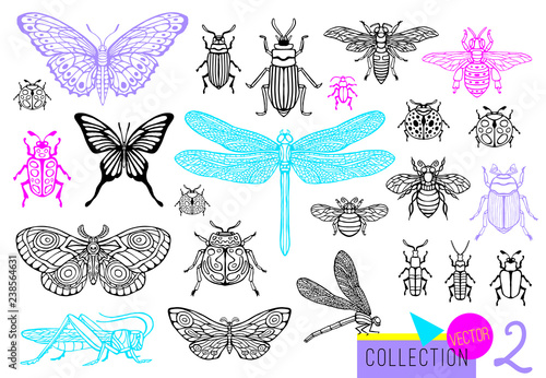 Big hand drawn line set of insects bugs, beetles, honey bees, butterfly moth, bumblebee, wasp, dragonfly, grasshopper. Silhouette vintage sketch style engraved illustration.