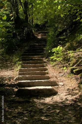 Swiss Woodland path  Rapperswil near Z  rich