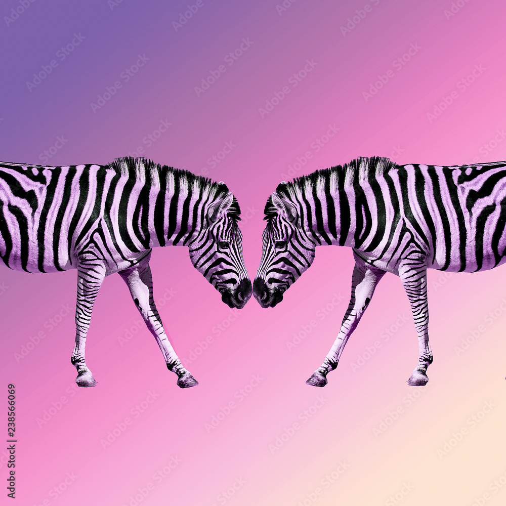 Contemporary collage art. Zebras couple. Minimal concept Contemporary collage art. Zebras couple. Minimal concept