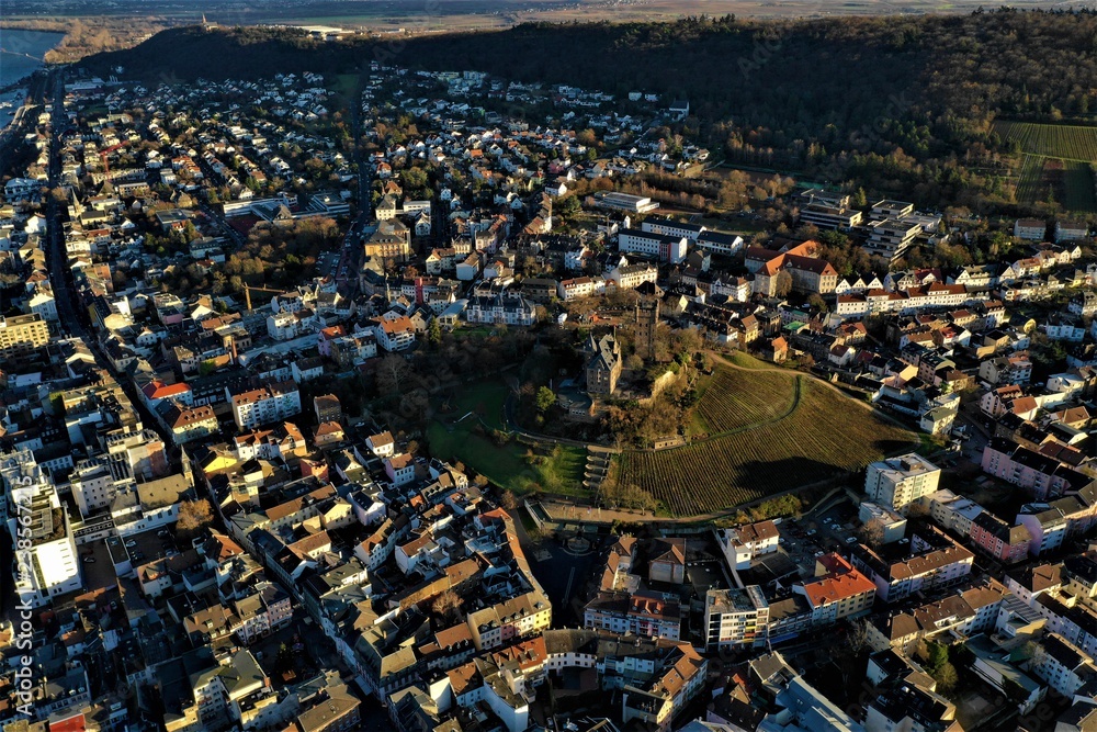 Naklejka premium Burgen und Dörfer am Rhein