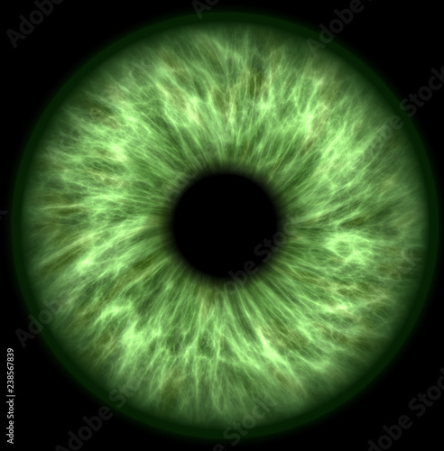 green eye iris