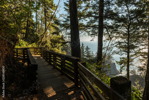 Path with wooden railing that gives access to an area of the southern coast of Oregon  USA