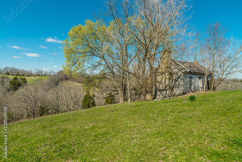 Abandoned Homestead