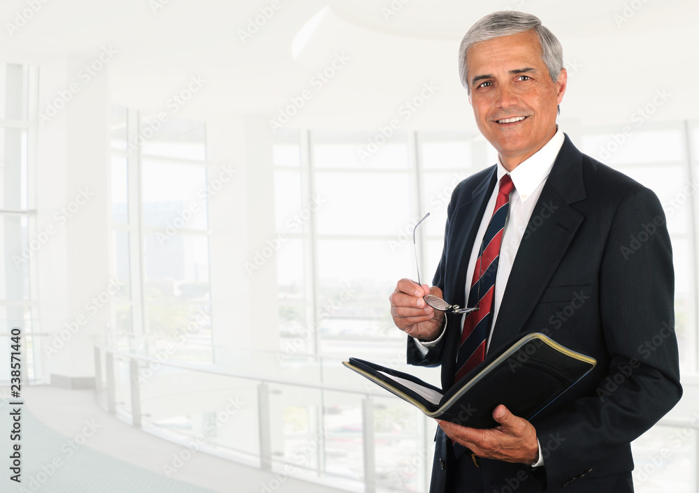 Businessman in high key office setting. Businessman in high key office setting.