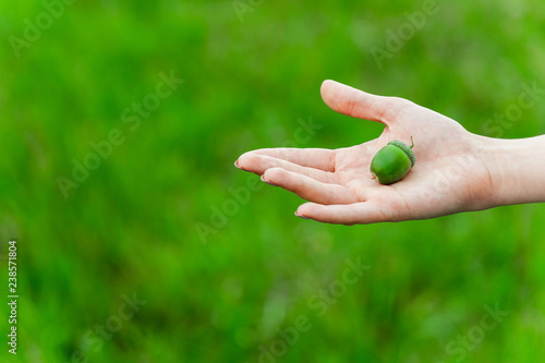 a large green acorn with a cap lies on an open beautiful young woman's palm against the backdrop of juicy greens, the beginning of a large powerful oak, a strong strong tree in a small seed, ecology