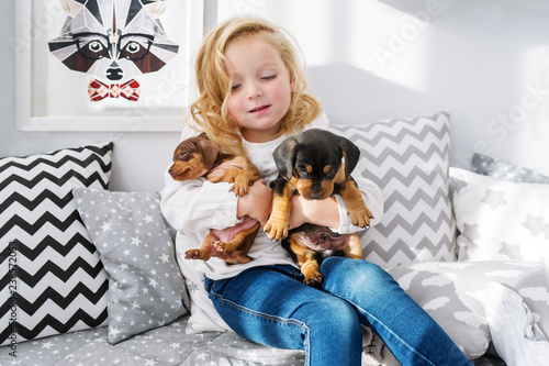 The beautiful little girl embraces two little charming puppies of a dachshund