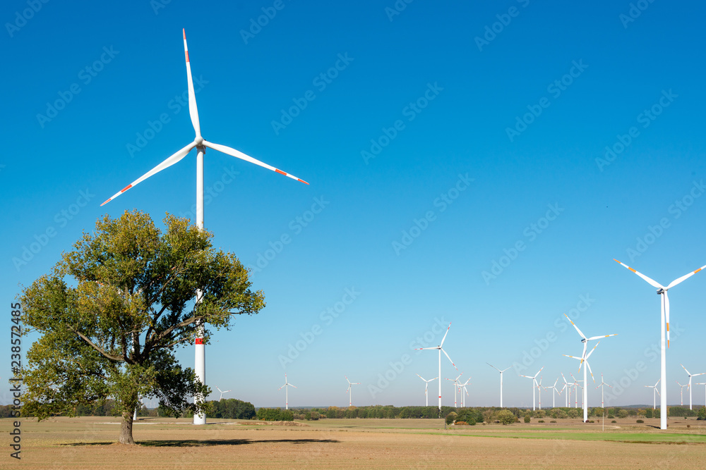 Obraz premium Winkrafträder drehen sich im Wind