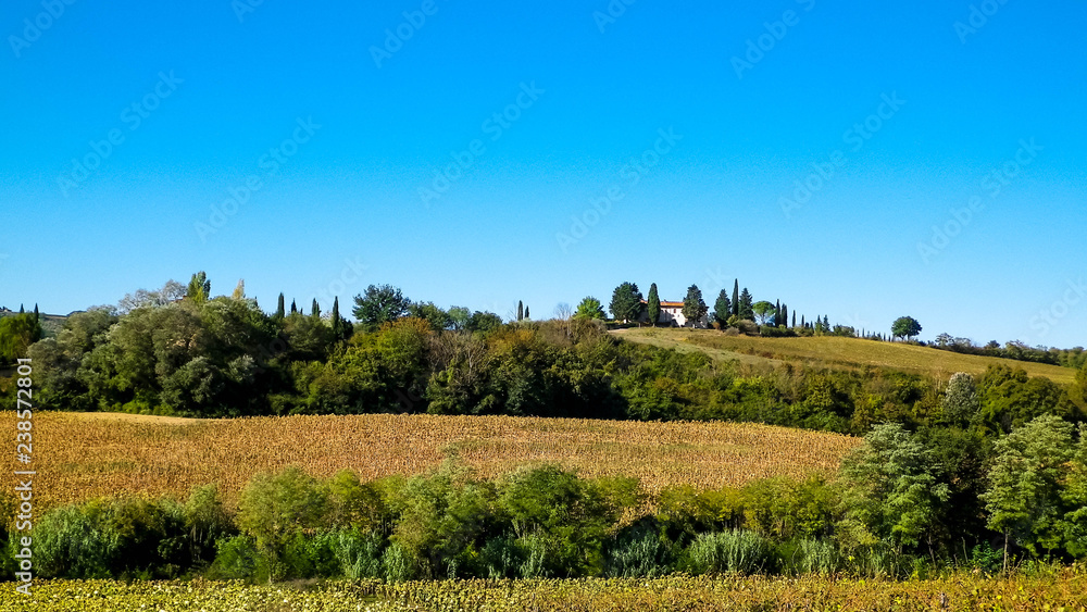 Hills, fields and meadows - typical views of Tuscany.