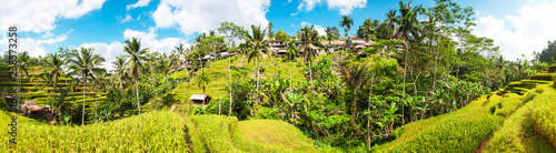 Panoramic view of Tegallalang Rice Terraces, Ubud, Bali, Indonesia. Beautiful green rice fields, natural background. Travel concept, famous places of Bali.