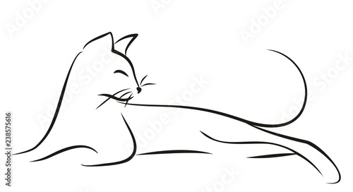Силуэт черного кота.