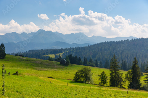 green mountain pasture in Tatras © Pavlo Klymenko