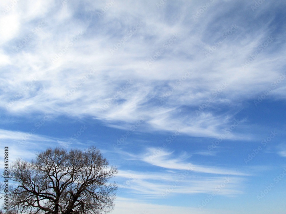 Obraz premium Cirrus clouds to rain